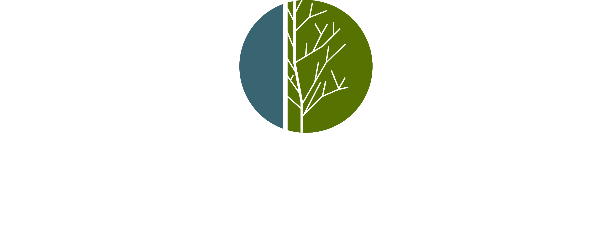 verde acqua logo nav